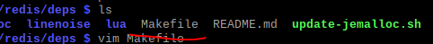 redis_makefile